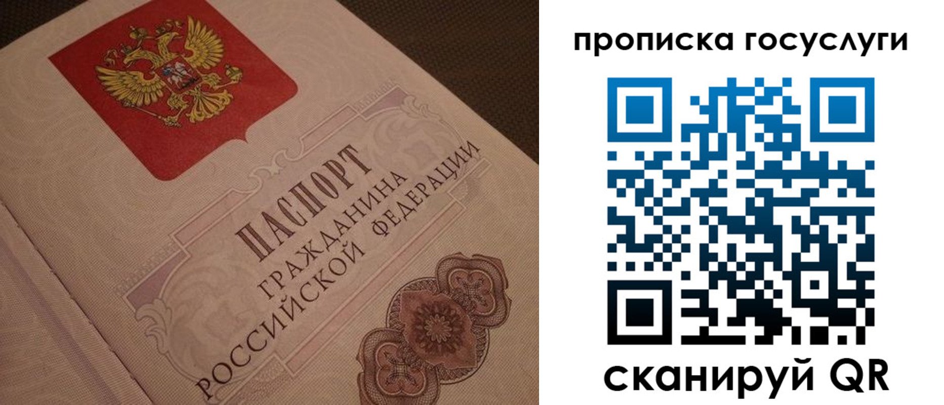 прописка для работы в Новозыбкове