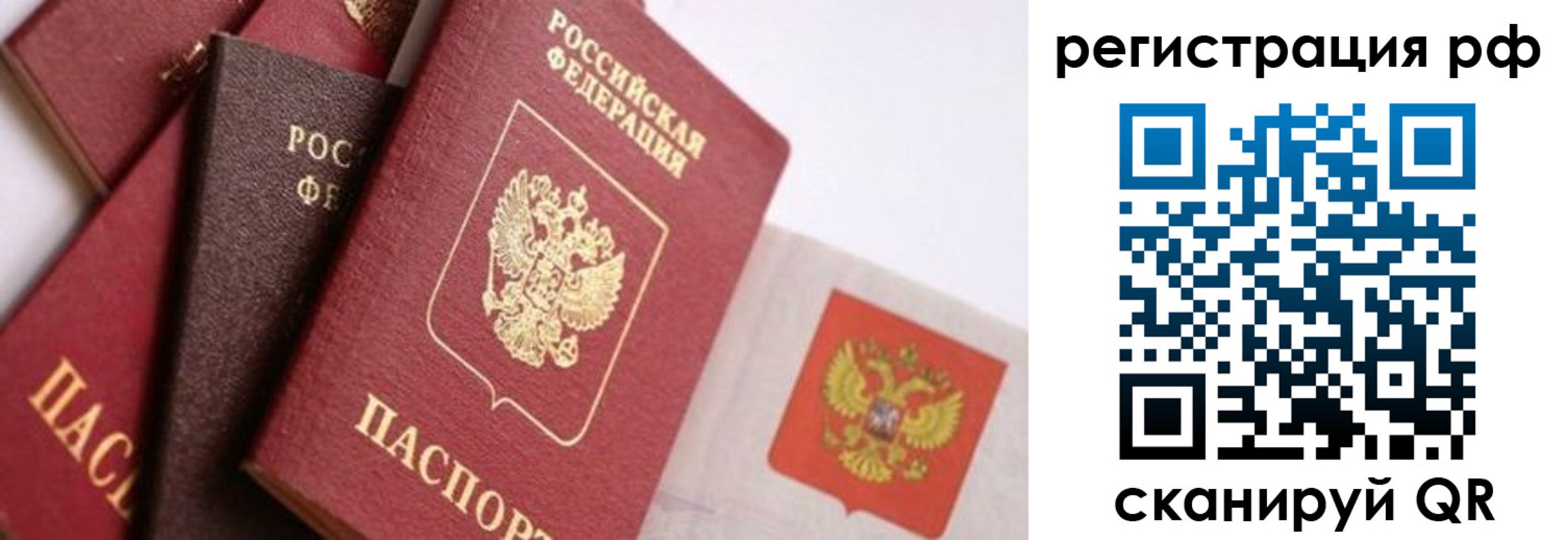 временная регистрация госуслуги в Новозыбкове